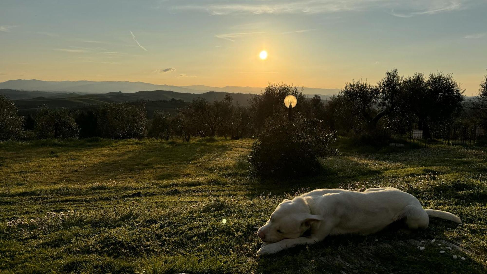Agriturismo Soiano Famiglia Rolfini モンタイオーネ エクステリア 写真