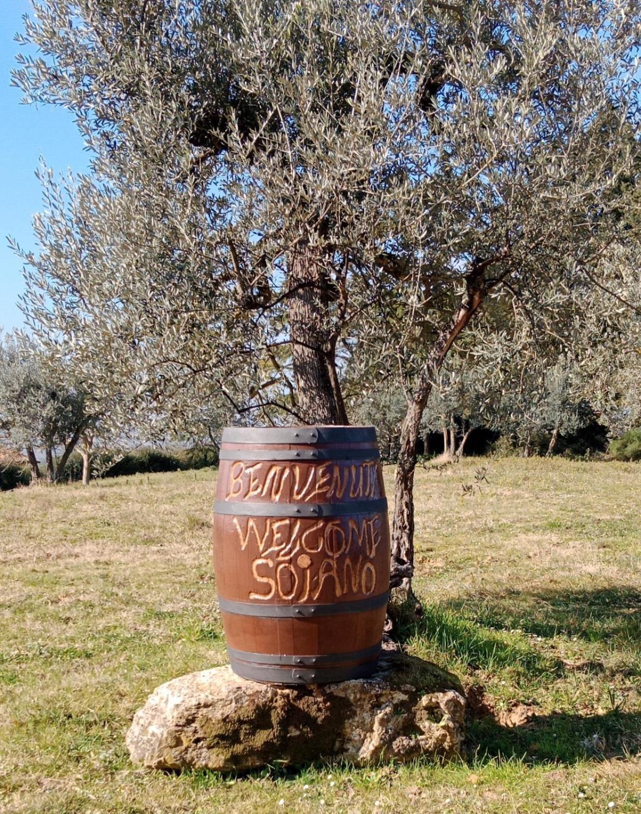 Agriturismo Soiano Famiglia Rolfini モンタイオーネ エクステリア 写真